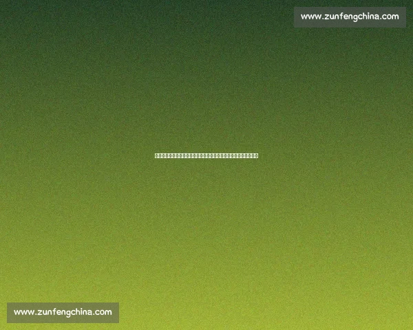 巅峰对决美国女排迎战日本女排速度与力量的较量世界赛场荣誉之争