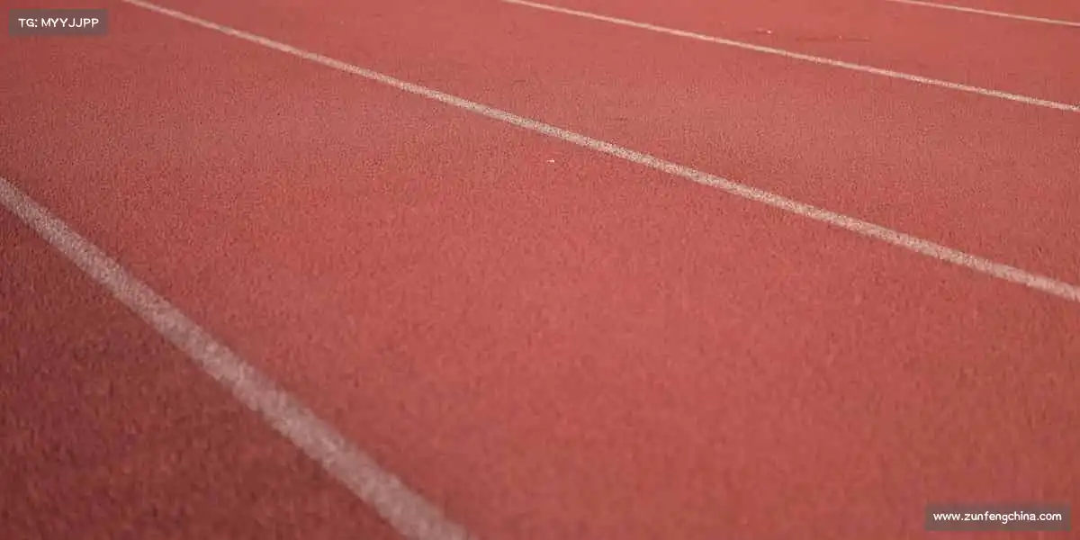 <strong>b体育官网</strong>🥋一招一式，皆是对自我的超越 —— 武道精神，在此绽放！